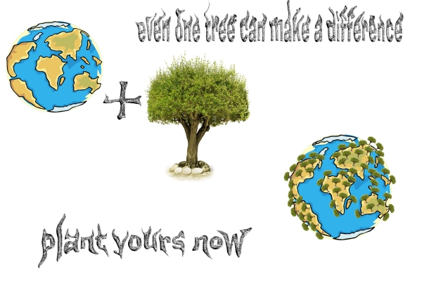 Creation of one tree: Step 4